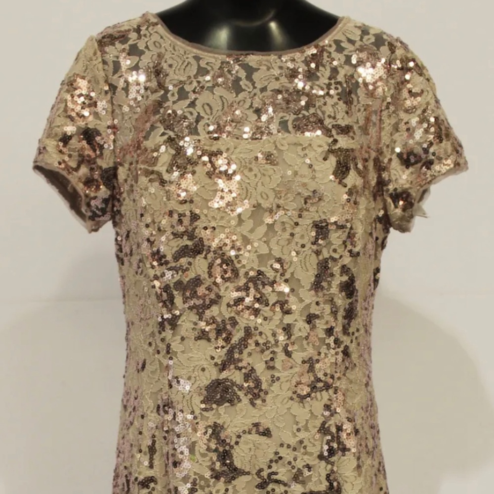 SLNY Women's Sequined Zippered Back Short Sleeve Dress JS7 Pink Size 12 NWT